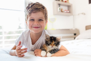 boy sitting with cat on bed