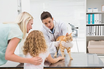 cat with child and parent at veterinarian