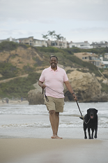 dog and owner walking on beach