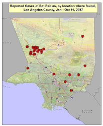 Los Angeles County Department of Public Health - Rabies