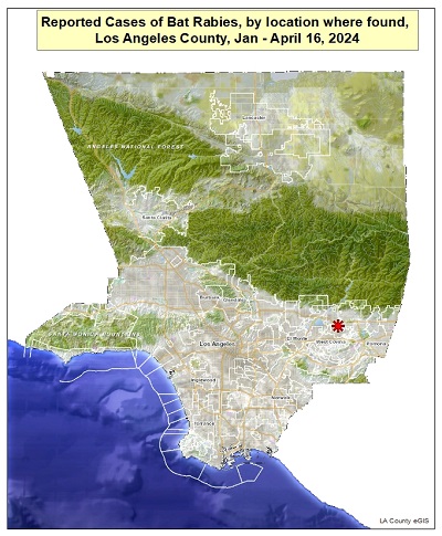 Map of rabid bats in Los Angeles County as of Apr 17, 2024
