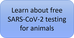 Learn about free SARS-CoV-2 testing for animals 